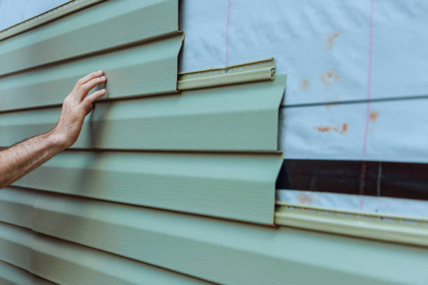 Best Siding Painting and Refinishing  in Luverne, MN
